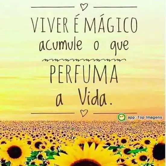Viver é mágico