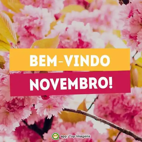 Bem-vindo Novembro