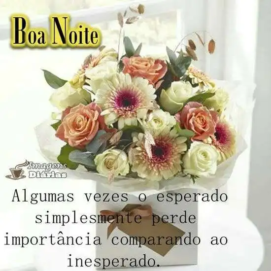 Boa noite