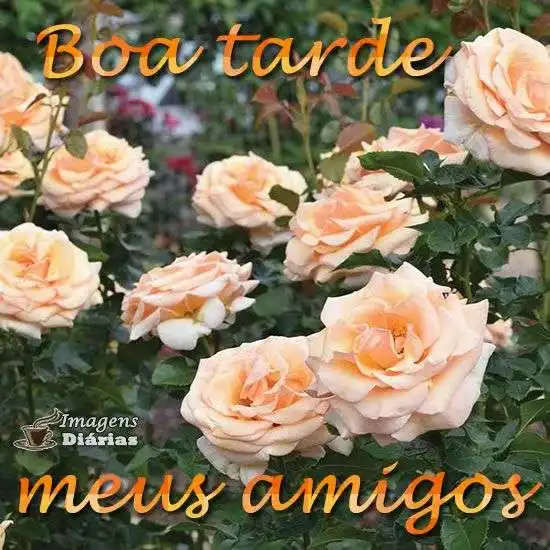 Boa tarde