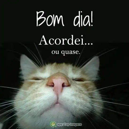 Bom dia