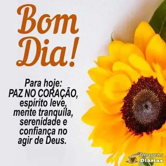 Bom dia