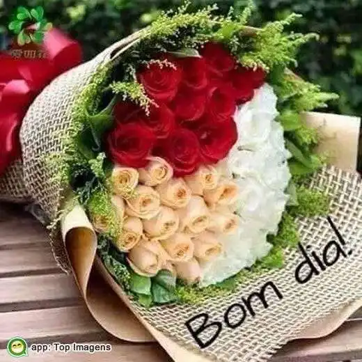 Bom dia