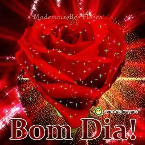 Bom dia