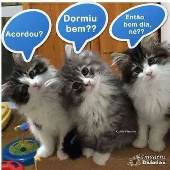 Bom dia