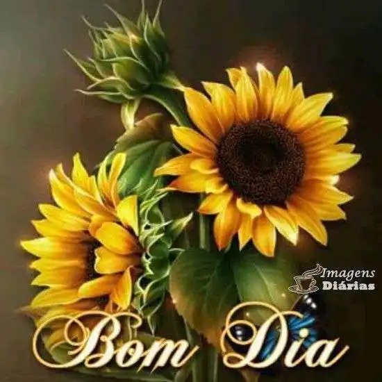 Bom dia