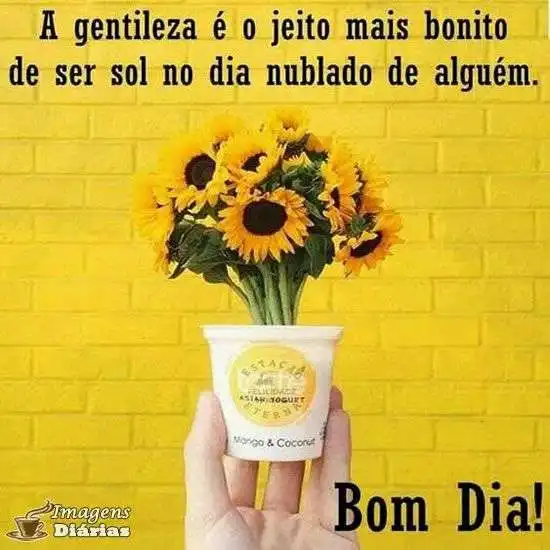 Bom dia