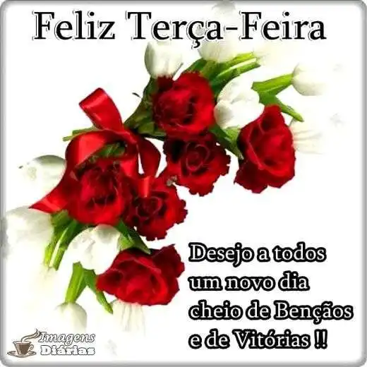 Feliz terça-feira