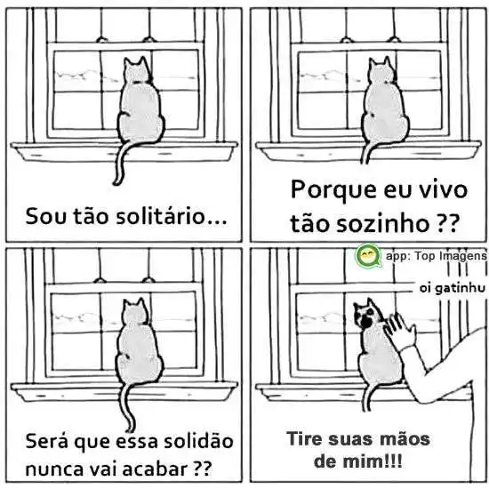 Gato solitário