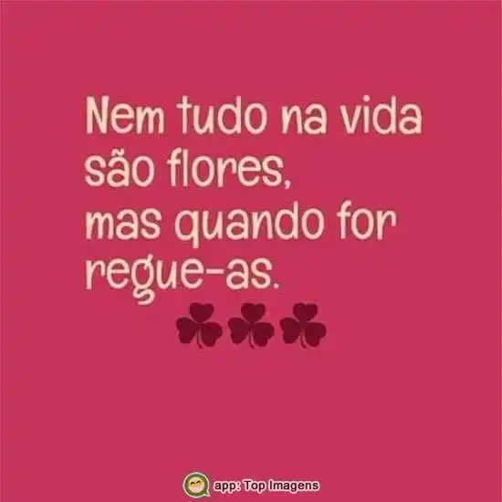 Nem tudo são flores