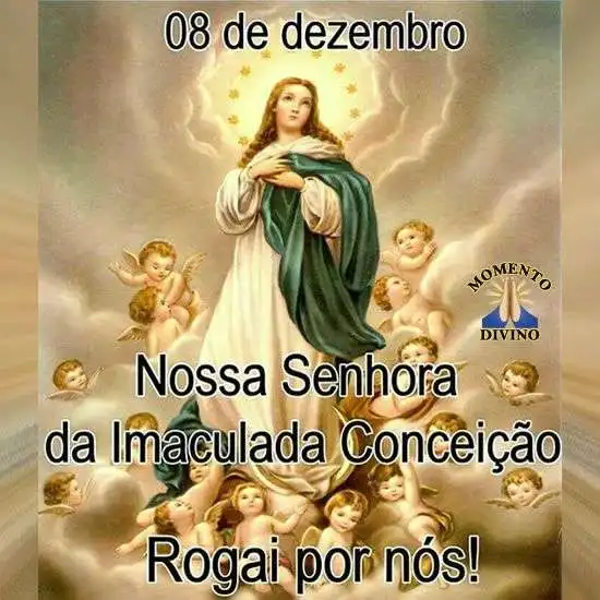 Nossa Senhora da Imaculada Conceição