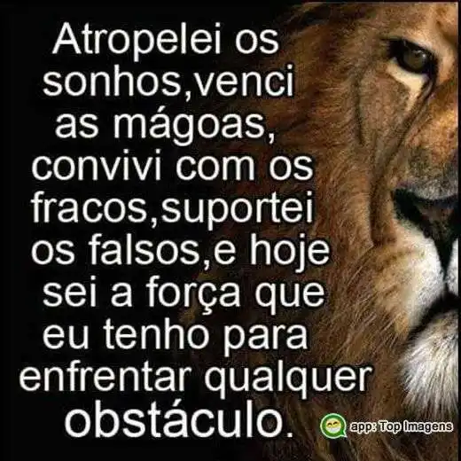 Sei a força que tenho