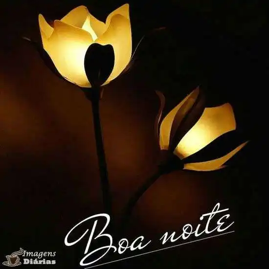 Boa noite