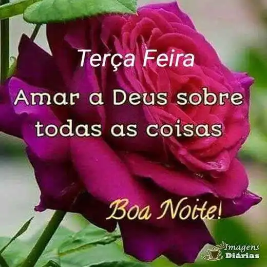 Boa noite