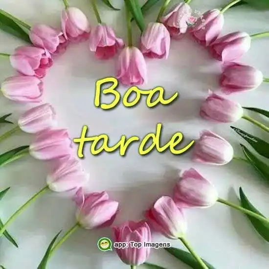 Boa tarde