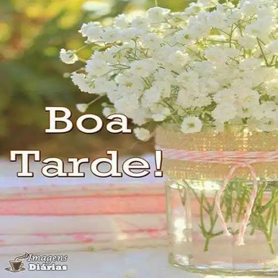 Boa tarde
