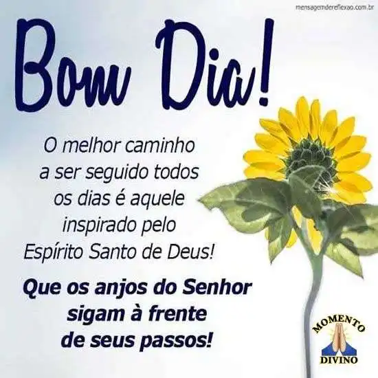 Bom dia
