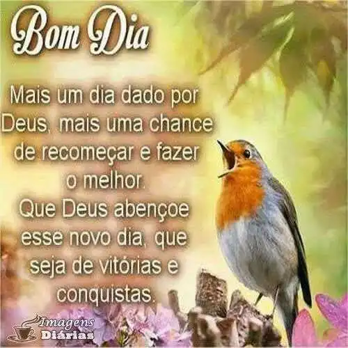 Bom dia