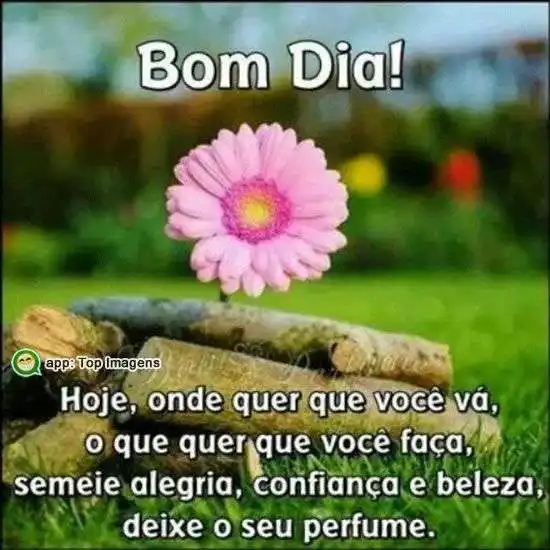 Bom dia