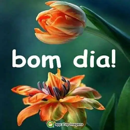 Bom dia