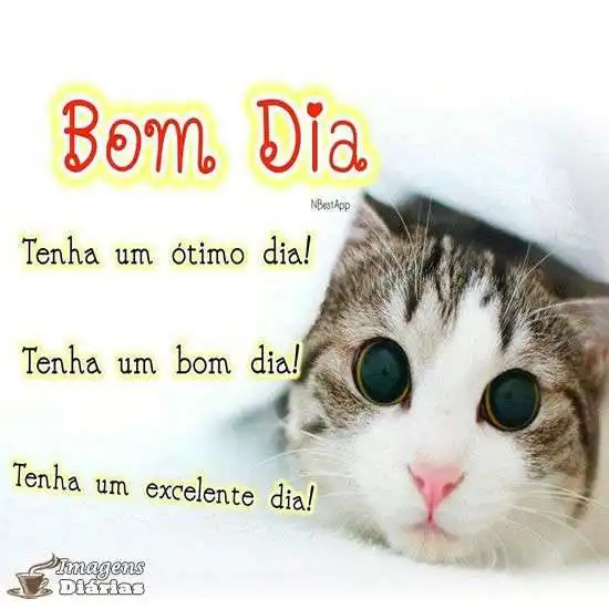 Bom dia