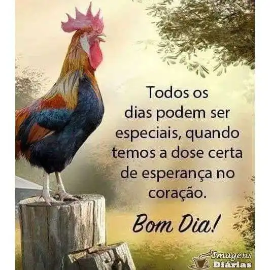 Bom dia