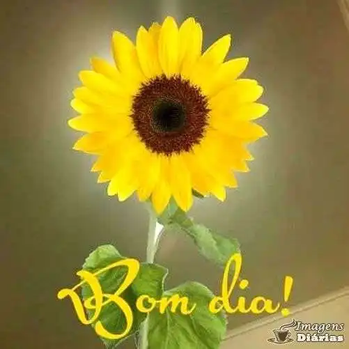 Bom dia