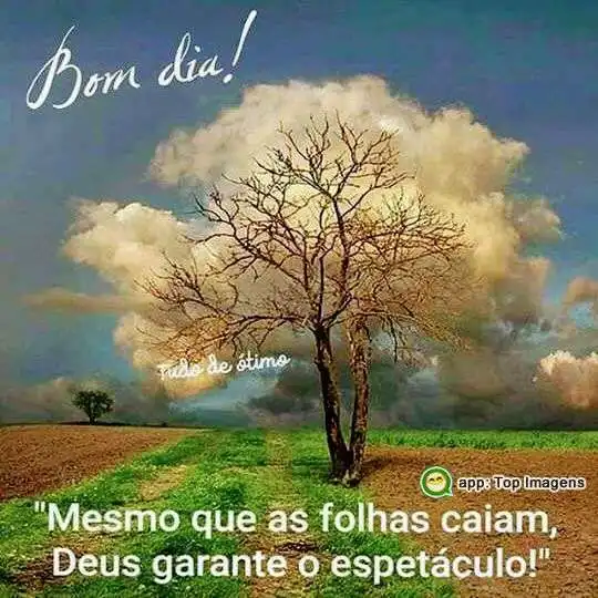 Bom dia