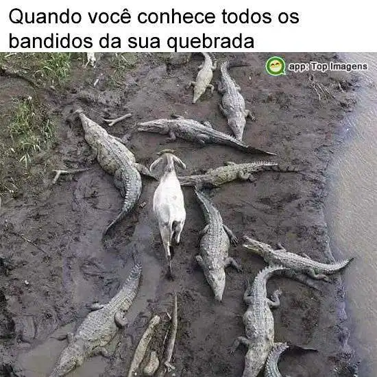 Conhecendo os bandidos