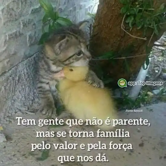 Gente que vira família