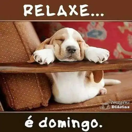 Relaxe é domingo