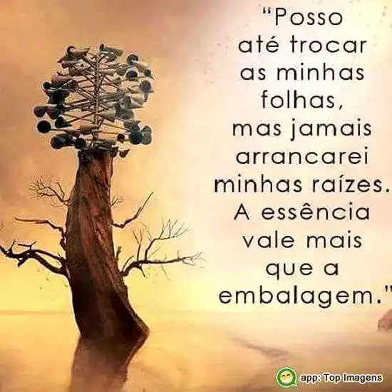 A essência vale mais