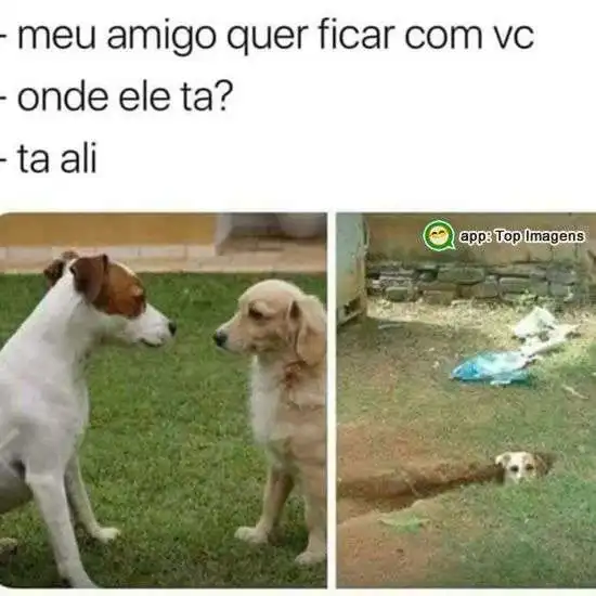 Amigo tímido