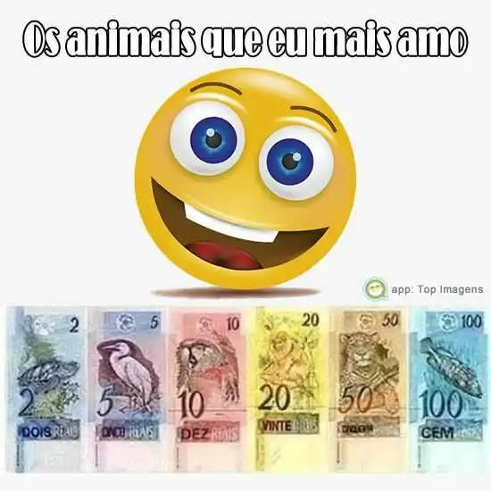 Animais que mais amo