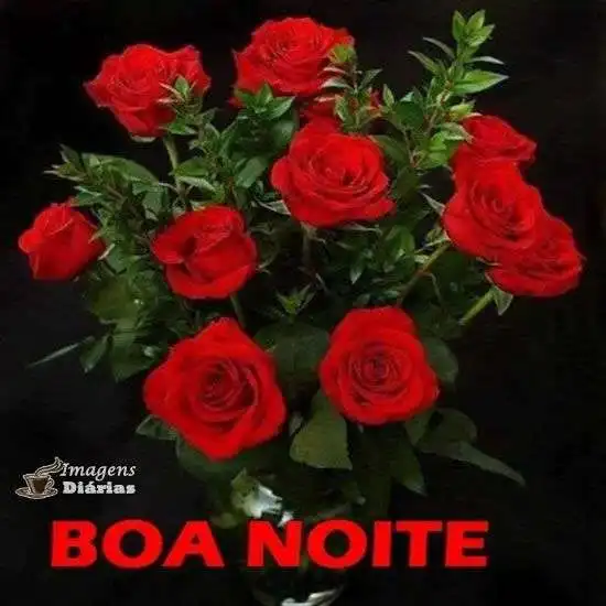 Boa noite