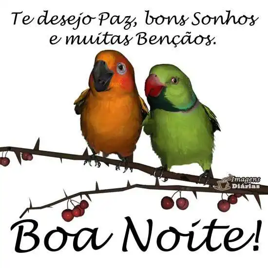 Boa noite