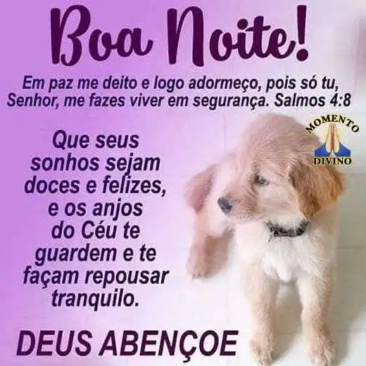 Boa noite
