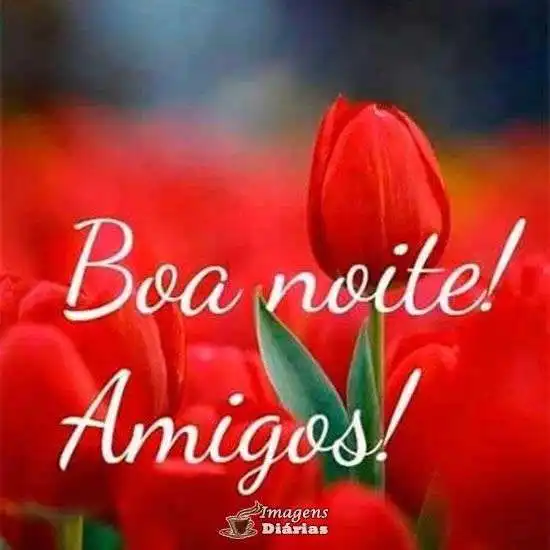 Boa noite amigos