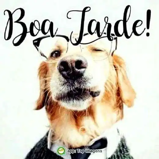 Boa tarde