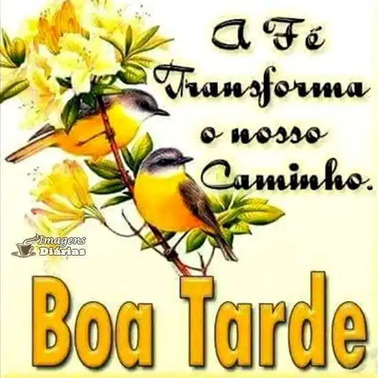Boa tarde