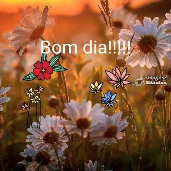 Bom dia