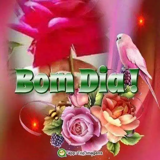 Bom dia