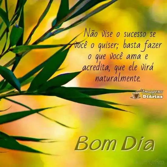 Bom dia