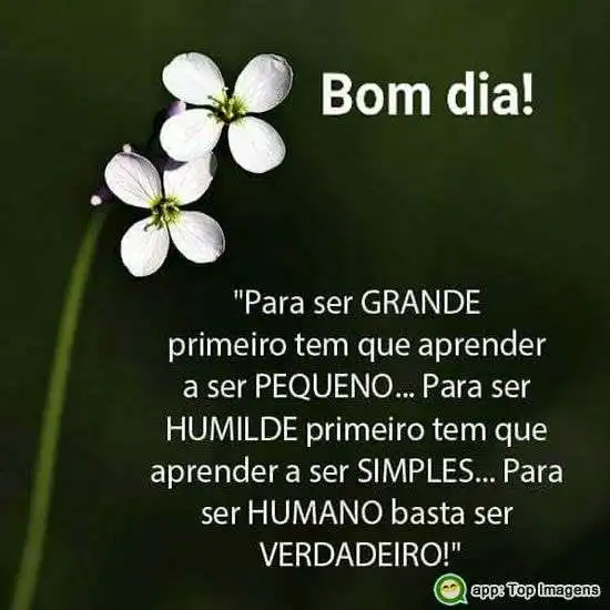Bom dia