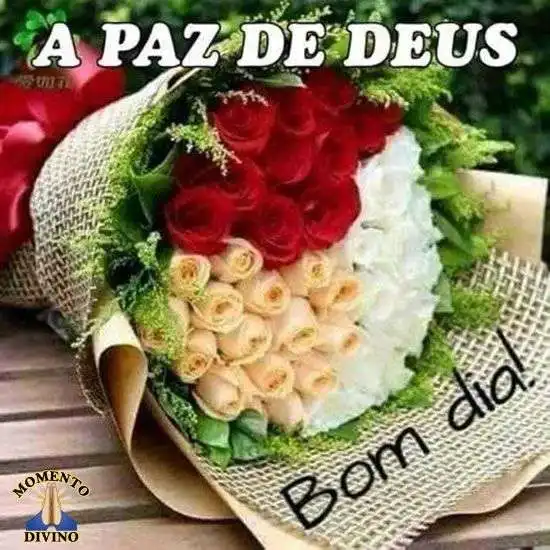 Bom dia