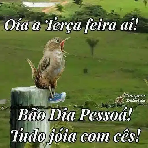 Bom dia