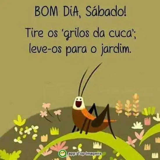 Bom dia de sábado