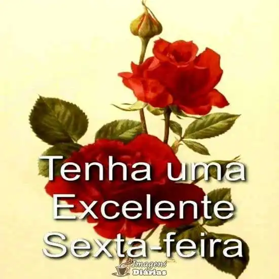 Excelente sexta-feira