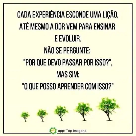 Experiência e lição