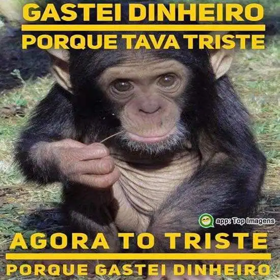 Gastei dinheiro